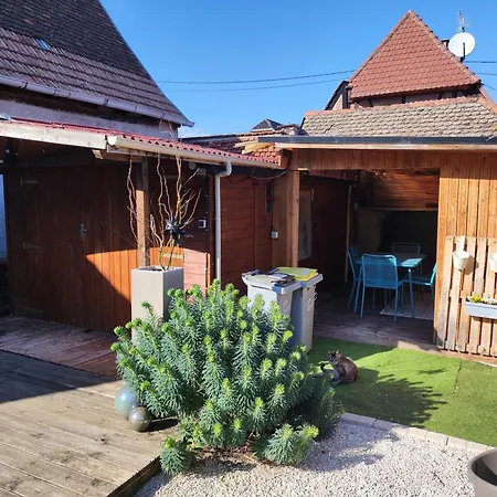 Charmante Maison Alsacienne, Sauna Et Jardin