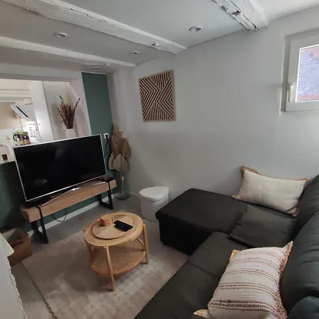 Charmante Maison Alsacienne, Sauna Шатнуа