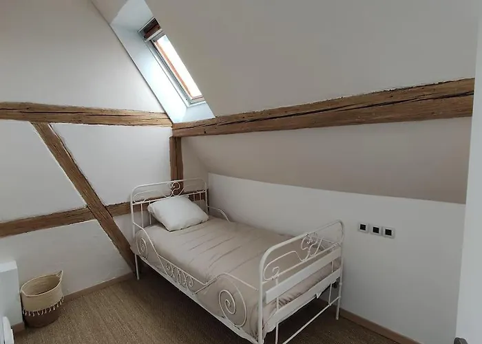 Charmante Maison Alsacienne, Jardin Et Sauna