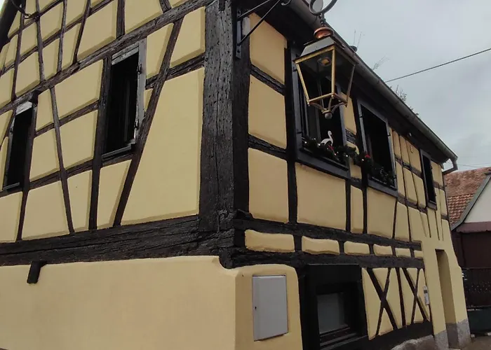 Charmante Maison Alsacienne, Jardin Et Sauna * Châtenois